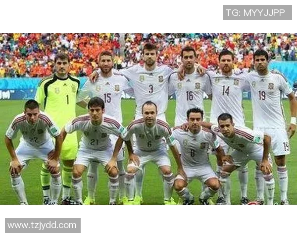 南京网球队在世界杯舞台上的崛起与奋斗历程全景回顾