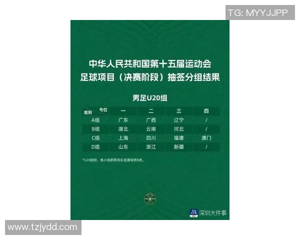 深圳足球队实力崛起荣登全国足球实力排行榜第十名