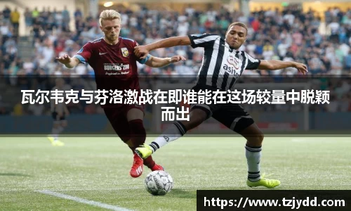 瓦尔韦克与芬洛激战在即谁能在这场较量中脱颖而出