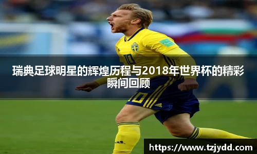 瑞典足球明星的辉煌历程与2018年世界杯的精彩瞬间回顾