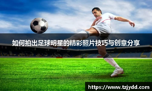 悟空·体育平台